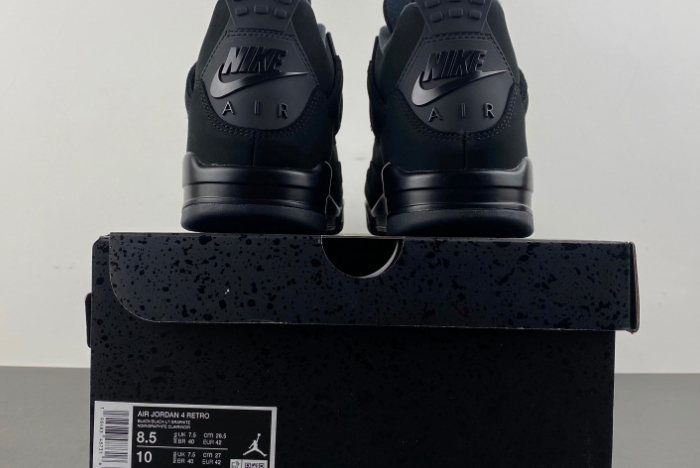 Jordan 4 Retro Black Cat (2025) FV5029-010