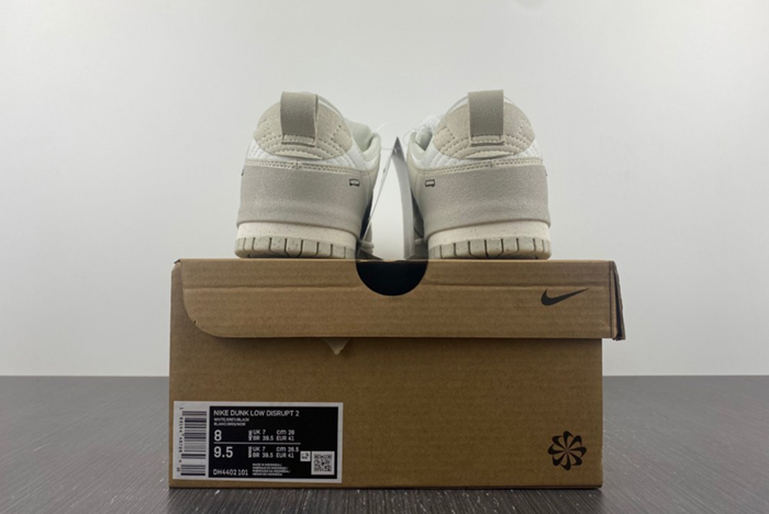 Nike Dunk Low Disrupt2  DH4402-101