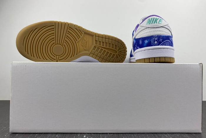 Nike SB Dunk Low Retro SP CT5053-041