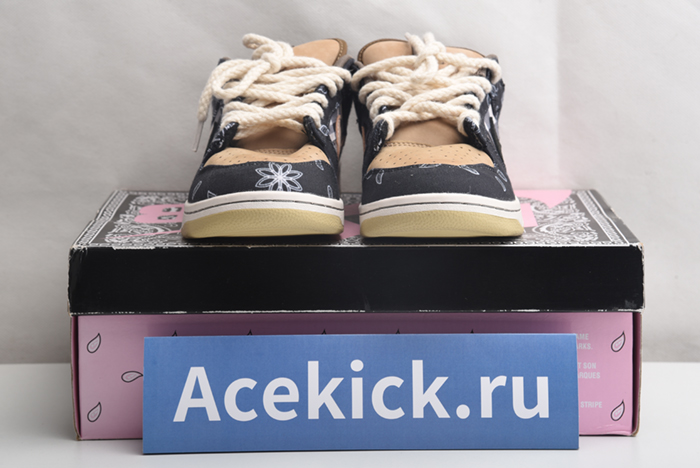 Travis Scott x Nike SB Dunk Low TS CT5053-001