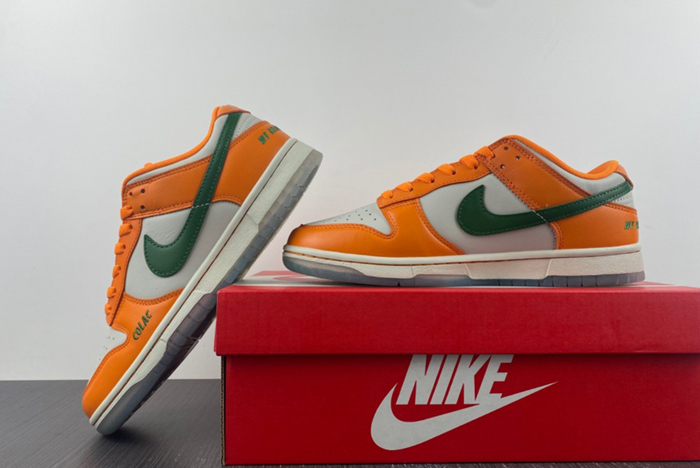 NIKE SB Dunk low FAMU DR6188-800