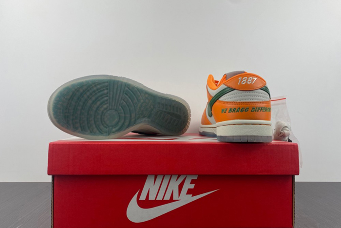 NIKE SB Dunk low FAMU DR6188-800