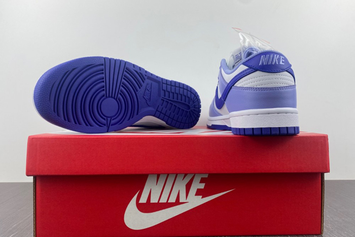 Nike Dunk Low GS “Blueberry” DZ4456-100