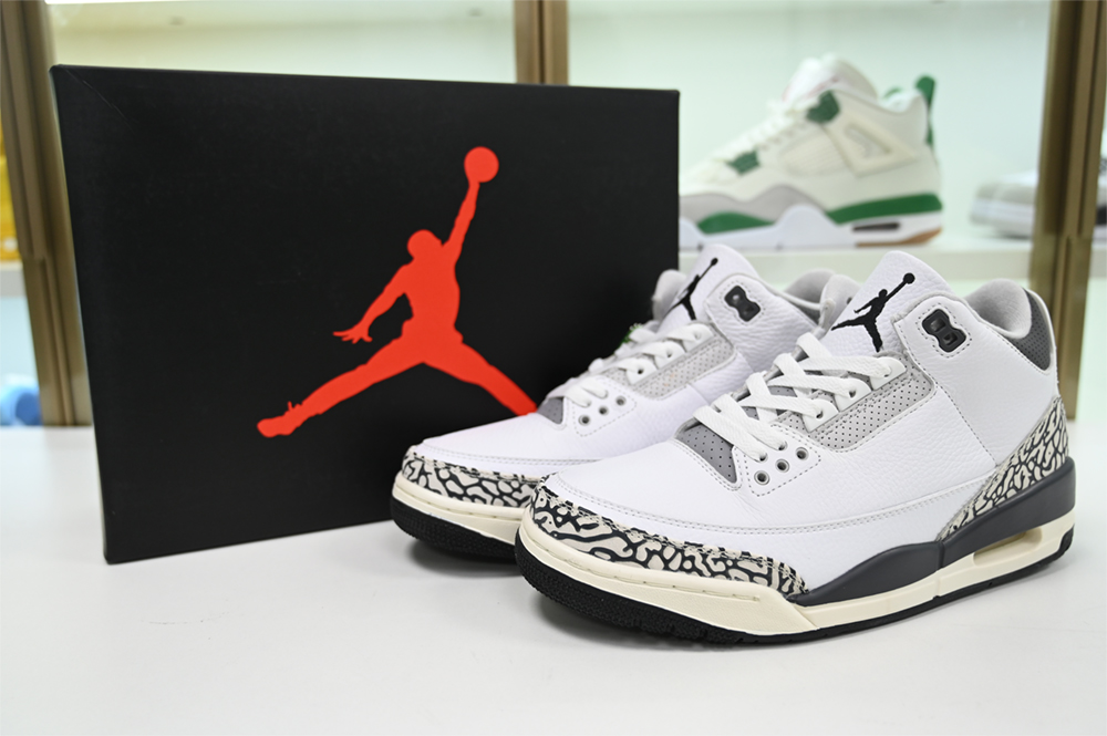 Jordan 3 Retro Hide N