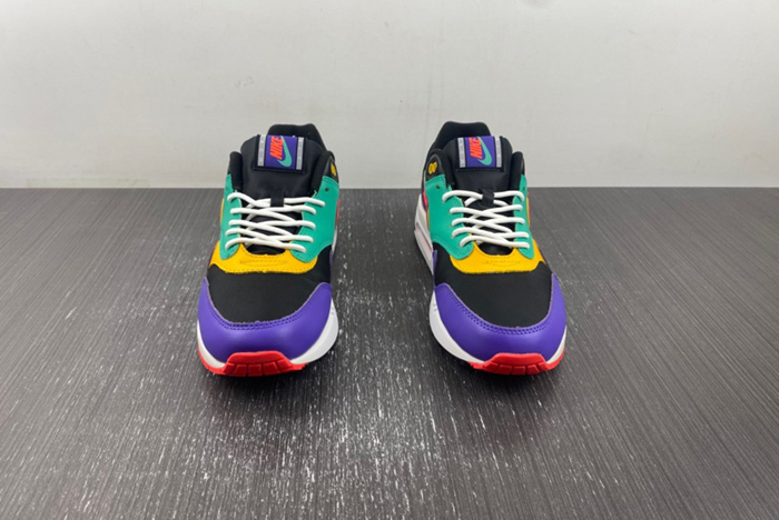 Nike Air Max 1 Windbreaker Men