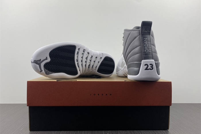 Air Jordan 12 STEALTH  CT8025-610
