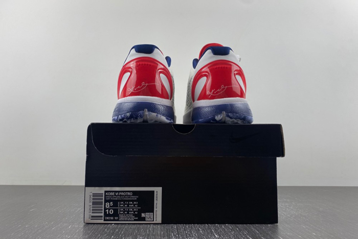 Team USA Nike Kobe 6 PEs CW2190-101