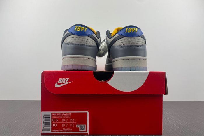 Nike Dunk Low North Carolina A&T DR6187-001