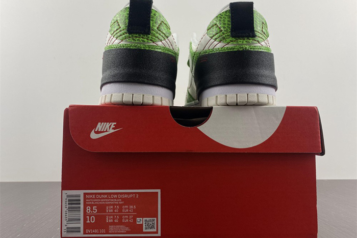Nike Dunk Low Disrupt DV1491-101
