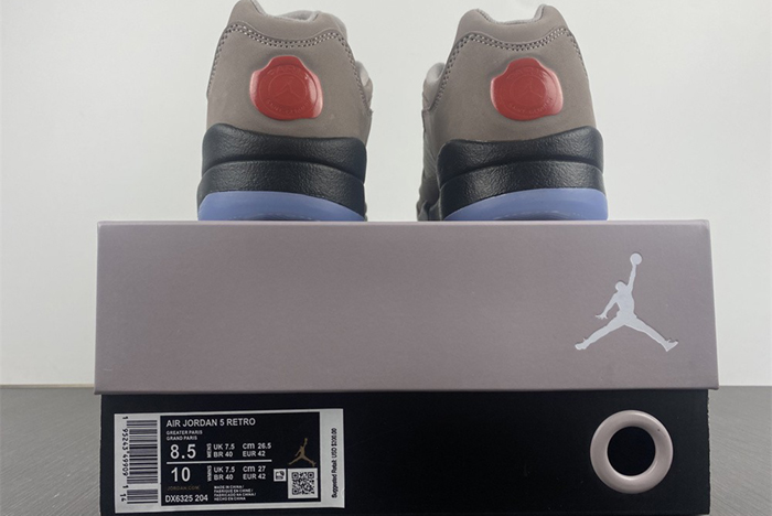 Air Jordan 5 Low "PSG" DX6325-204