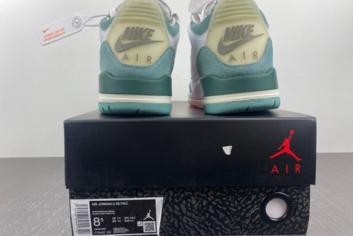 Air Jordan 3 DT8532-130