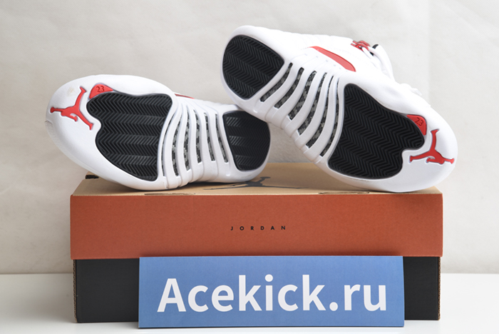 Air Jordan 12 Retro CT8013-106