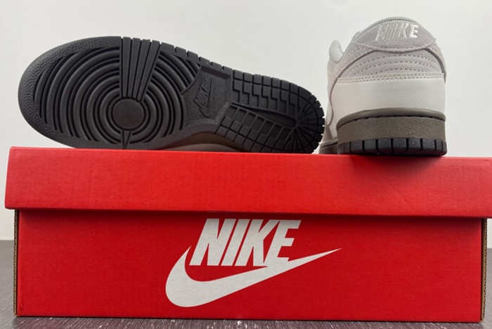 Nike Dunk Low Ironstone - FD9746-001