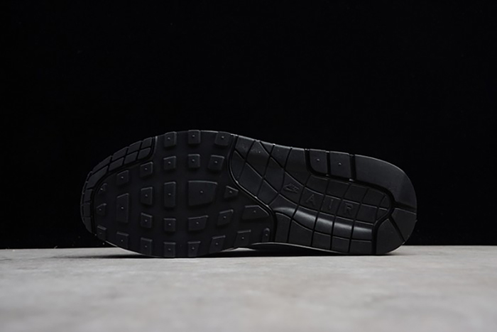 Nike Air Max 1 Wolf Grey AH8145-003