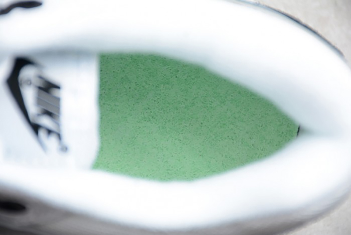 Nike Air Max 1 Wolf Grey AH8145-003