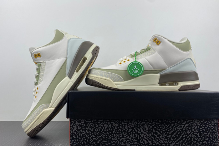Air Jordan 3  DX6660-800