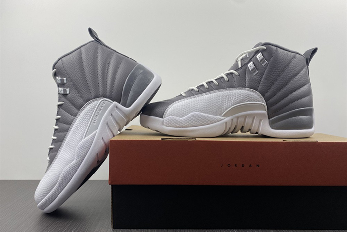 Air Jordan 12 STEALTH  CT8025-610