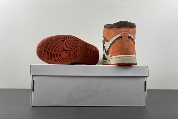 Jordan 1 Retro High OG SP Dusted Clay FQ2941-200