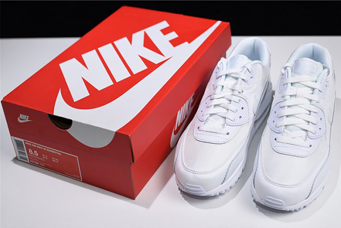Nike Air Max 90 Essential | White 537384-111