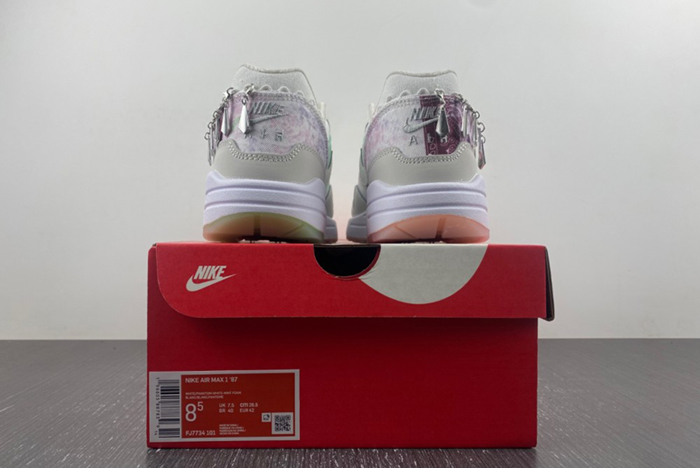 Nike Air Max 1 SNKRS FJ7734-101