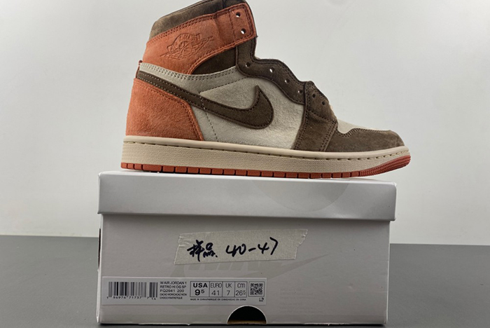 Jordan 1 Retro High OG SP Dusted Clay FQ2941-200