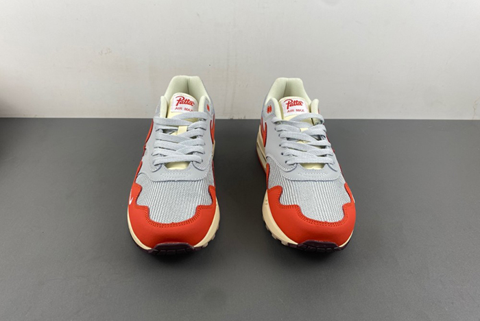 Nike Patta x Air Max 1