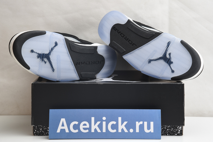 Air Jordan 5 Retro Moonlight CT4838-011