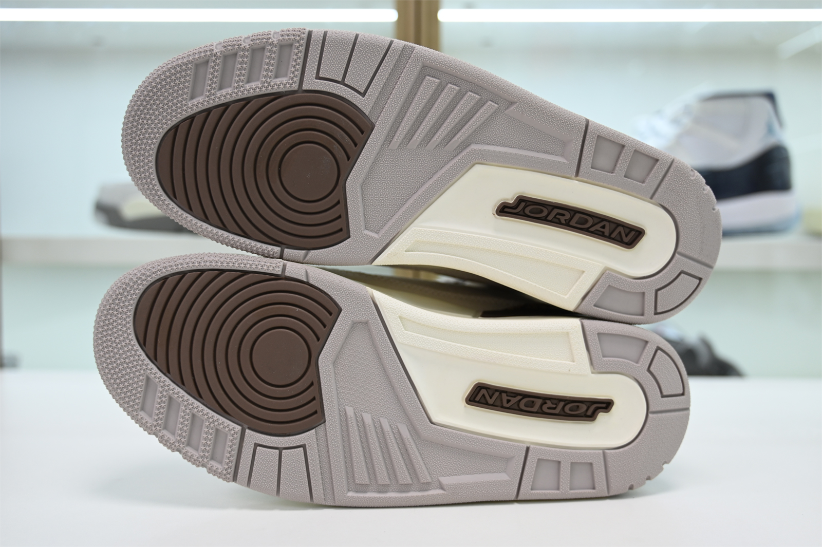 Air Jordan 3 Palomino CT8532-102