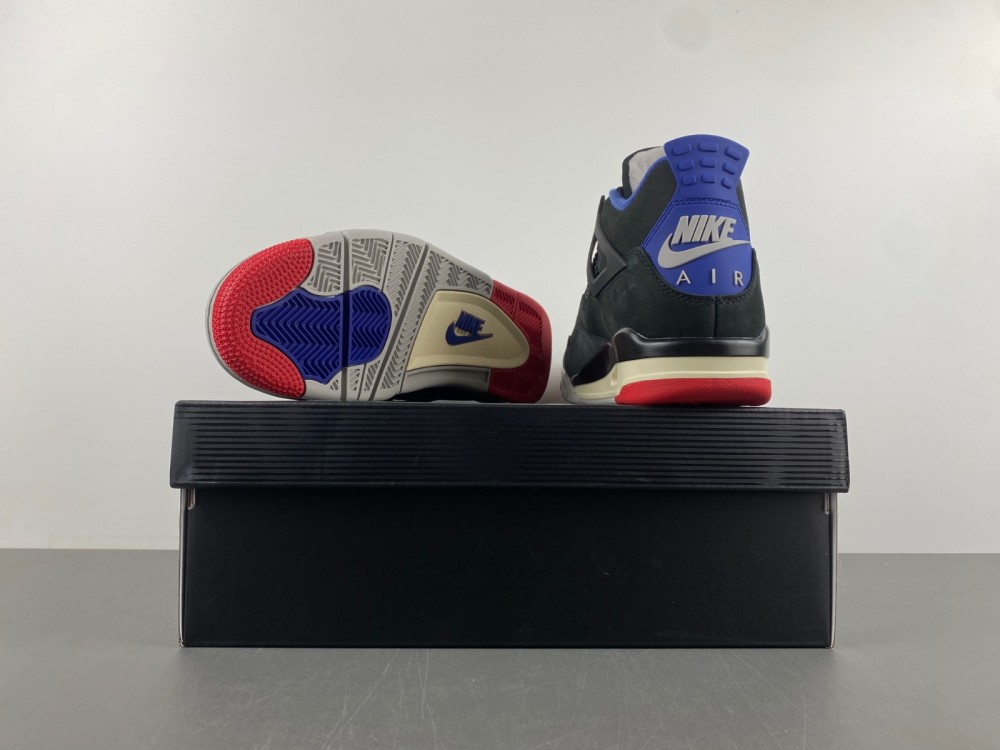 Air Jordan 4 Rare Air FV5029-003