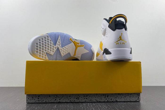 Air Jordan 6 Yellow Ochre CT8529-170