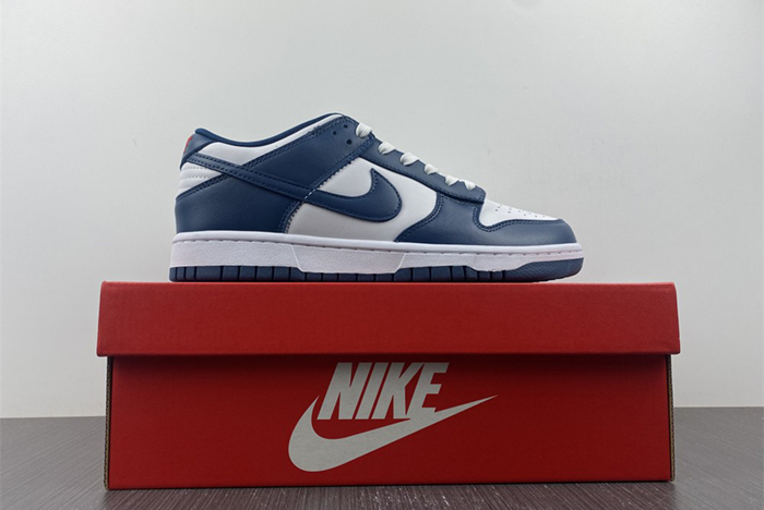 Nike dunk SB Low Retro Valerian Blue DD1391-400