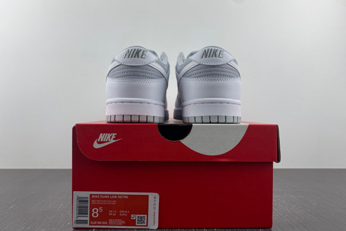 Nike Dunk Low Retro White Grey DJ6188-003