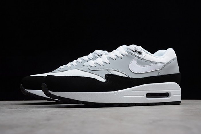 Nike Air Max 1 Wolf Grey AH8145-003