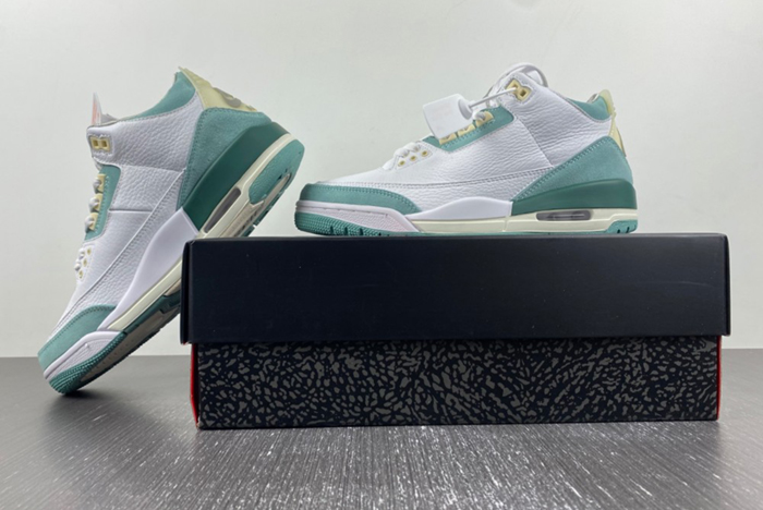 Air Jordan 3 DT8532-130