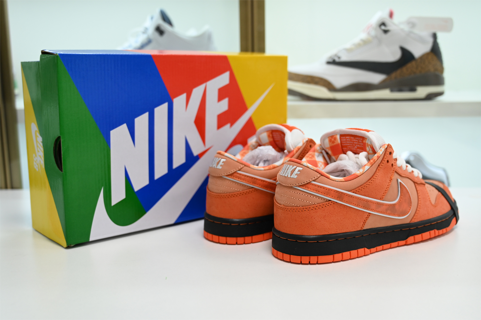 Concepts x Nike SB Dunk Low FD8776-800