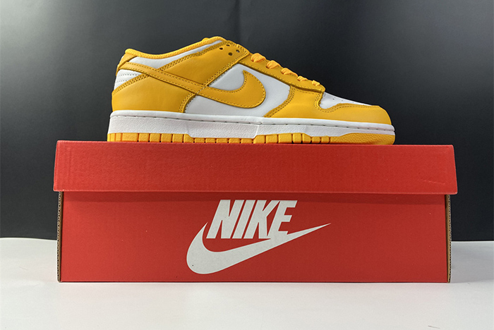 NIKE DUNK LOW DD1503-800