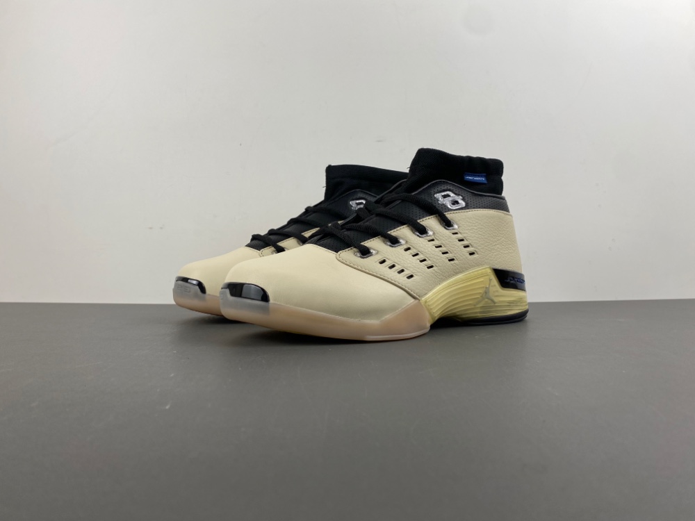 Jordan 17 Retro Low SP Infinite Archives  IH0177-200