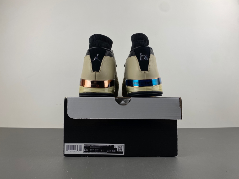 Jordan 17 Retro Low SP Infinite Archives  IH0177-200