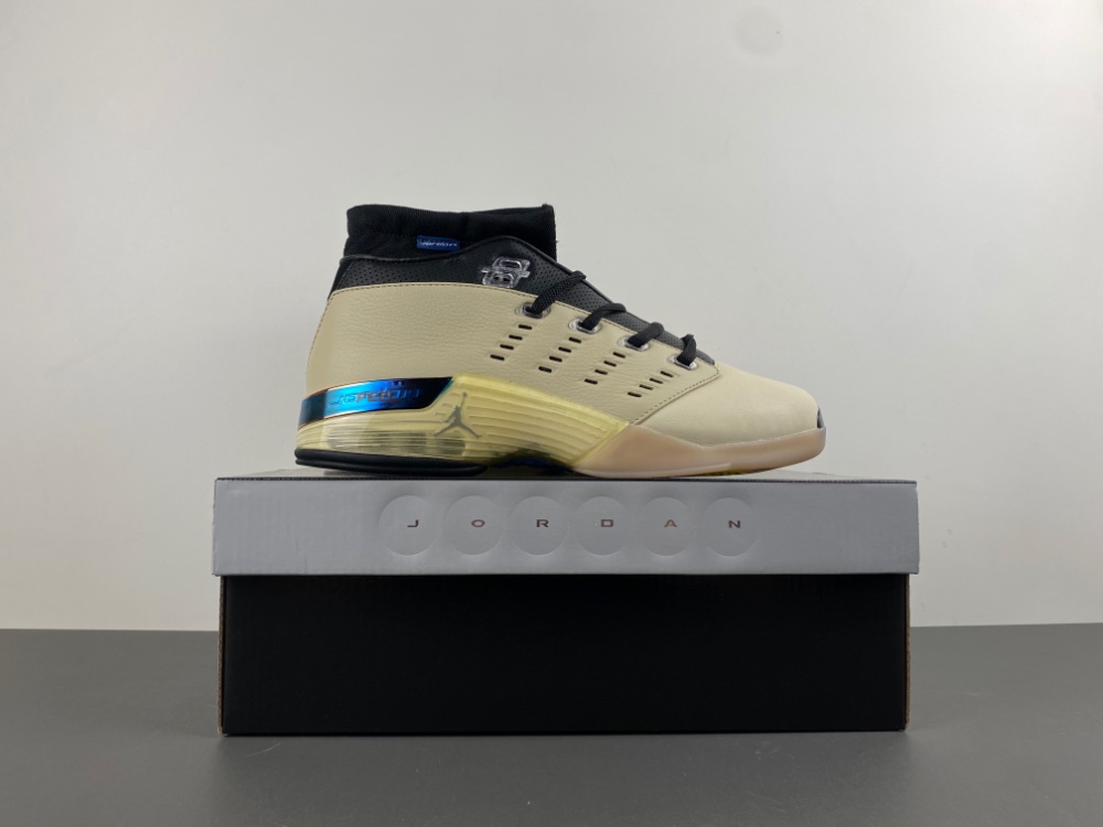 Jordan 17 Retro Low SP Infinite Archives  IH0177-200